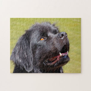 Puzzle Perro Terranova.