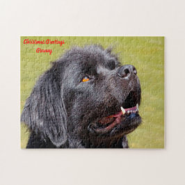 Puzzle Perro Terranova.