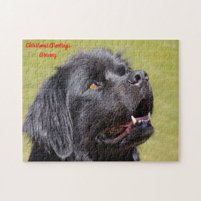 Puzzle Perro Terranova. (Horizontal)