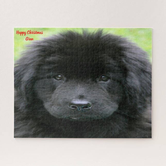Puzzle Perro Terranova. (Horizontal)
