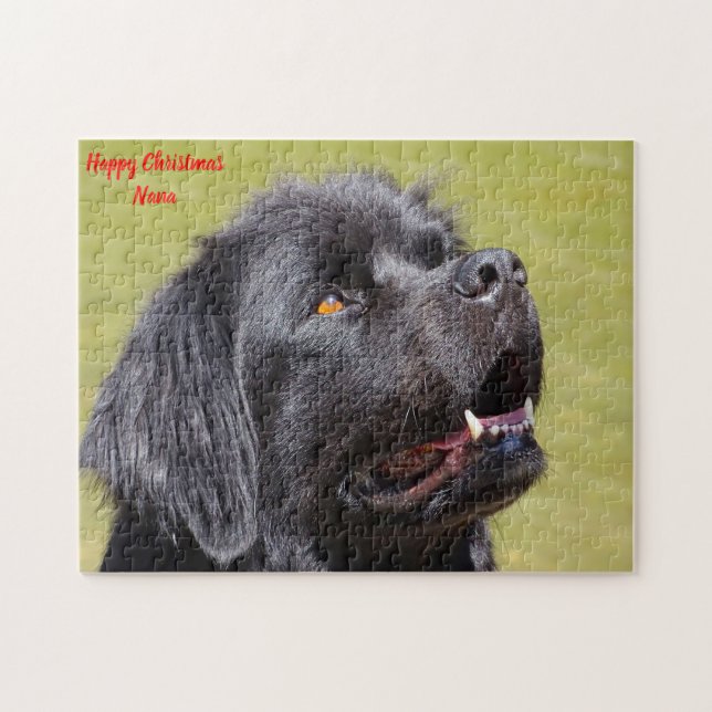 Puzzle Perro Terranova. (Horizontal)