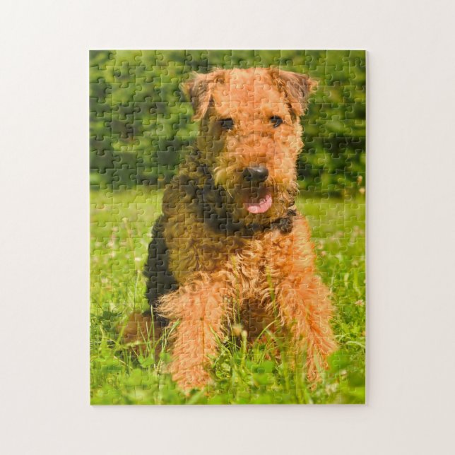 Puzzle Perro Terrier Airedale. (Vertical)