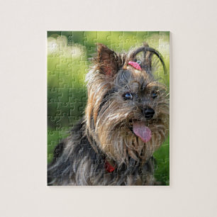 Puzzle Perro Terrier Cute Little Yorkshire