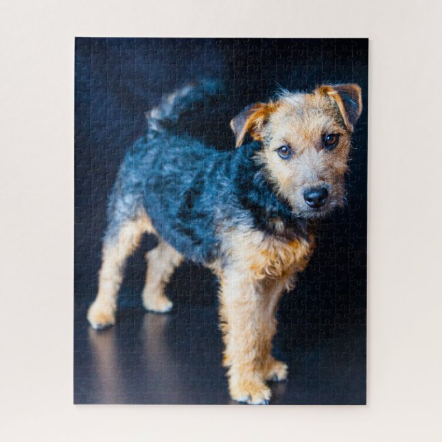 Puzzle Perro Terrier de Lakeland. (Vertical)