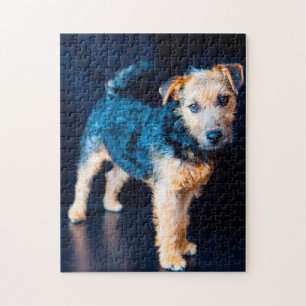 Puzzle Perro Terrier de Lakeland.