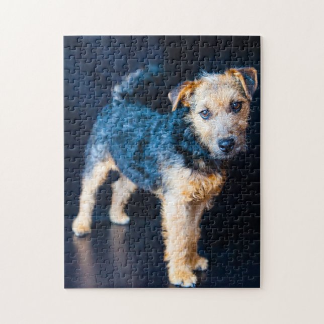 Puzzle Perro Terrier de Lakeland. (Vertical)