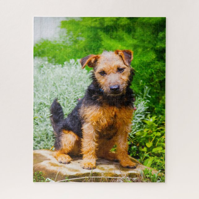 Puzzle Perro Terrier de Lakeland. (Vertical)
