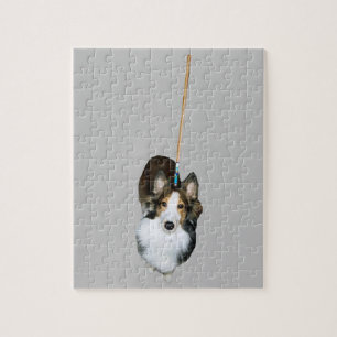 Puzzle Perro trapo