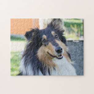 Puzzle Perro tricolor collie pimienta