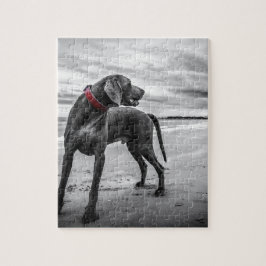 Puzzle Perro Weimaraner