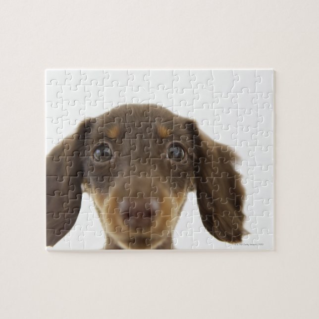 Puzzle Perro Wiener (marrón) 2 (Horizontal)