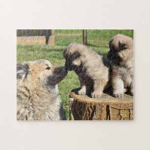 Puzzle Perro y cachorros de Eurasier