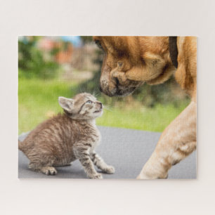 Puzzle Perro y gato de las imágenes el de Getty en amo