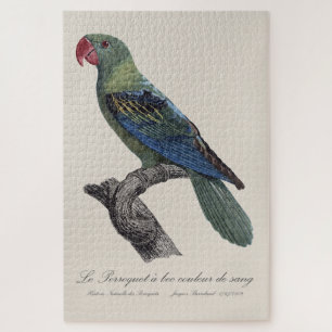 Puzzle Perroquet a bec couleur sang / Loro de gran factur