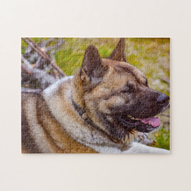 Puzzle Perros Akita. (Horizontal)