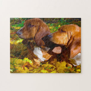 Puzzle Perros Basset Hound.