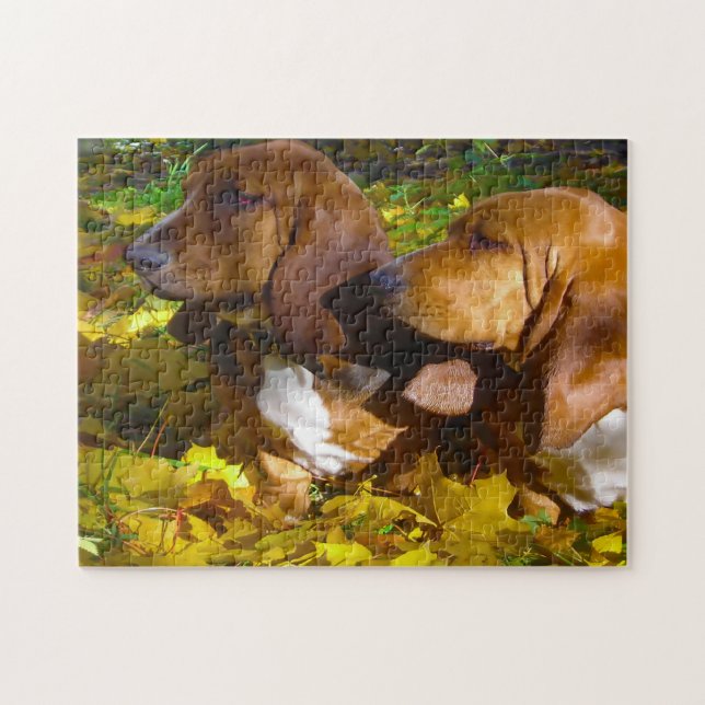 Puzzle Perros Basset Hound. (Horizontal)
