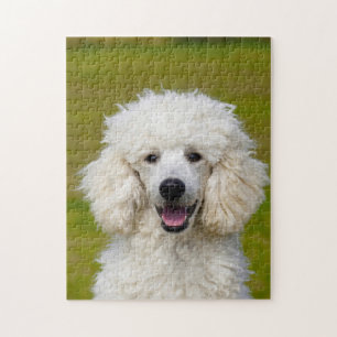 Puzzle Perros Caniche.