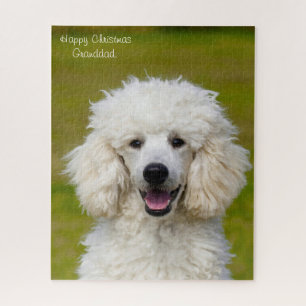 Puzzle Perros Caniche.