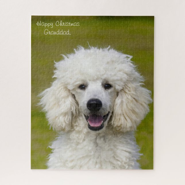 Puzzle Perros Caniche. (Vertical)