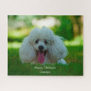 Puzzle Perros Caniche.