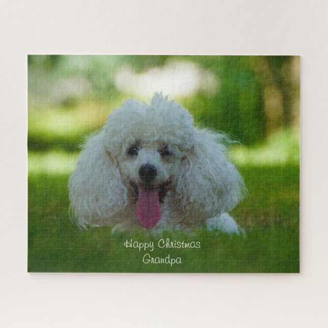 Puzzle Perros Caniche. (Horizontal)