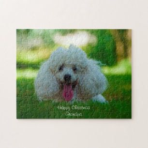 Puzzle Perros Caniche.