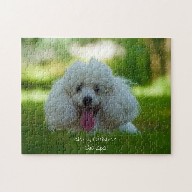 Puzzle Perros Caniche. (Horizontal)