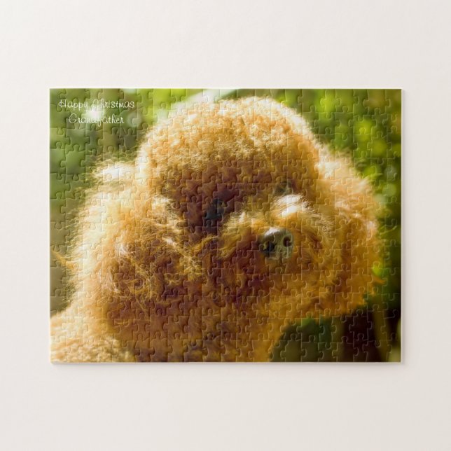 Puzzle Perros Caniche. (Horizontal)