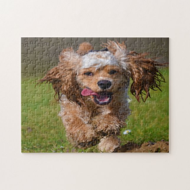 Puzzle Perros Cocker de raza pura. (Horizontal)