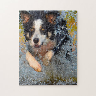 Puzzle Perros de la Collie Fronteriza.