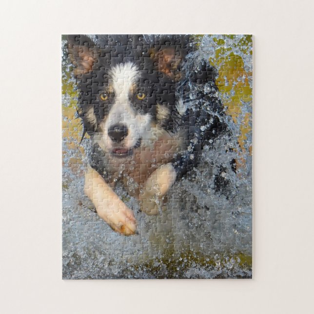 Puzzle Perros de la Collie Fronteriza. (Vertical)