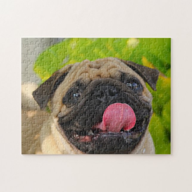 Puzzle Perros de Pug. (Horizontal)
