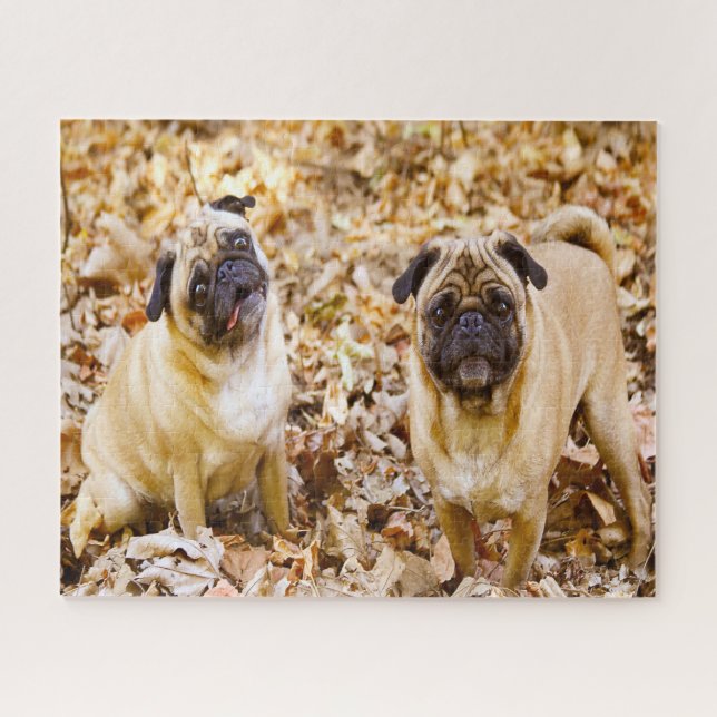 Puzzle Perros de Pug. (Horizontal)