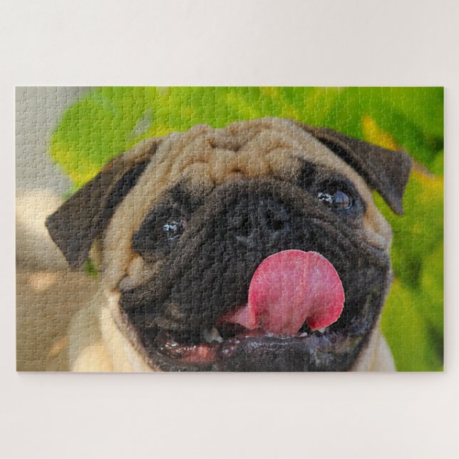 Puzzle Perros de Pug. (Horizontal)