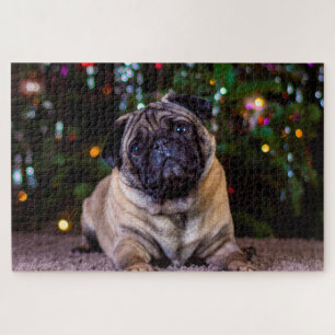 Puzzle Perros de Pug.