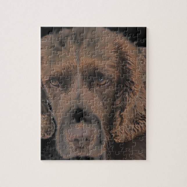 Puzzle Perros de Springer ingleses (Vertical)