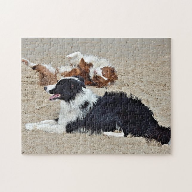 Puzzle - Perros en la playa (Horizontal)