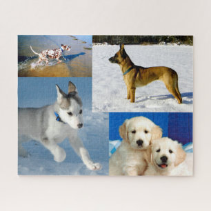 Puzzle Perros felices