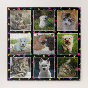 Puzzle Perros Gatos Coloridas Pintas Pintadas Mascotas Di