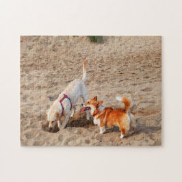 Puzzle perros geniales en la playa