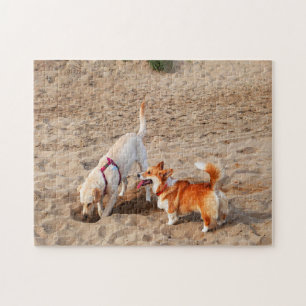Puzzle perros geniales en la playa