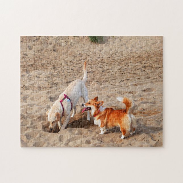 Puzzle perros geniales en la playa (Horizontal)