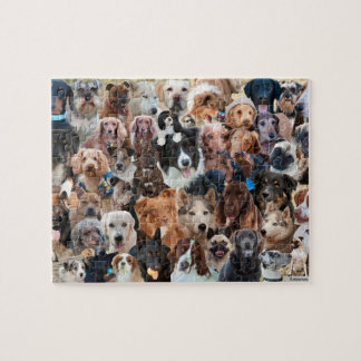 Puzzle Perros, perros y más perros