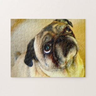 Puzzle Perros Pug.