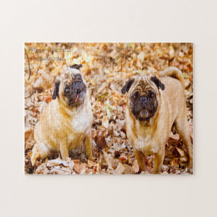 Puzzle Perros Pug.