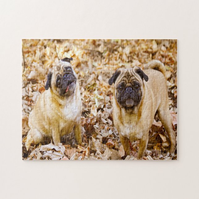 Puzzle Perros Pug. (Horizontal)