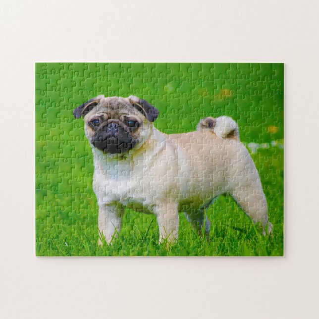 Puzzle Perros Pug. (Horizontal)