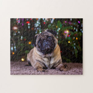Puzzle Perros Pug.