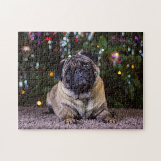 Puzzle Perros Pug. (Horizontal)